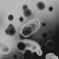 4k Immagine, virus. microscopico Visualizza di virus. cellule, nero e bianca foto