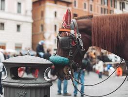 avvicinamento ritratto di un' cavallo vestito nel tradizionale decorazione e occhi chiuso nel il città centro. foto