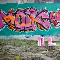 un' pochi Usato dipingere lattine menzogna su il terra vicino il parete con un' bellissimo graffiti pittura nel rosa e verde colori. strada arte concetto foto