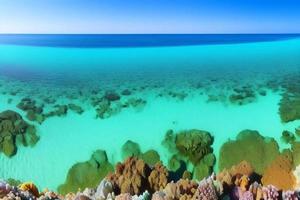 subacqueo scena. oceano corallo scogliera sott'acqua. mare mondo sotto acqua sfondo. foto