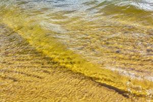 cava stagno nesse Usato come costruzione luogo e spiaggia Germania. foto