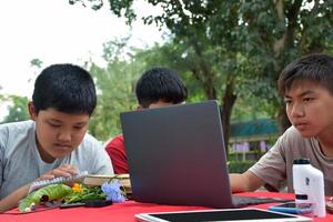 giovane asiatico ragazzi fare compiti a casa e fare il rapporti di vario specie di tropicale foreste di utilizzando laptop, lenti di ingrandimento, i Quaderni, tasca binocolo e compresse, modello il computer portatile concetto. foto