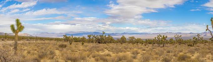 panoramico Immagine al di sopra di meridionale California deserto con cactus alberi durante giorno foto