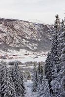 bellissimo norvegese inverno paesaggio a partire dal sciare pendenza su valle di hemsedal buskerud Norvegia, stagionale cartolina, carta da parati, stampa per tela, copertina design foto