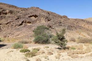 il negev è un' deserto nel il mezzo est, collocato nel il Sud di Israele. foto