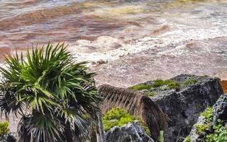 paesaggio marino naturale vista panoramica rovine di tulum sito maya tempio messico. foto