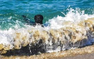 nero cane giocando nel acqua con onde puerto escondido Messico. foto