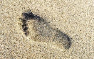 orma impronte su il spiaggia sabbia di il acqua Messico. foto