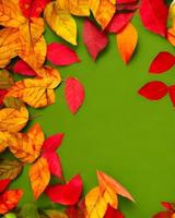 colorato le foglie fotografia foto