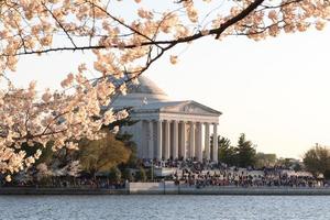 ciliegia fiorire Festival - Washington, dc foto