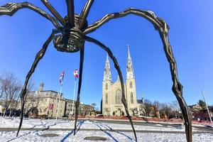 ragno scultura nel davanti il nazionale galleria di Canada, collocato nel il capitale città ottava, ontario, è uno di canada's premier arte gallerie, 2022 foto