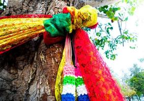 il colorato nastri a il santo bodhi albero foto