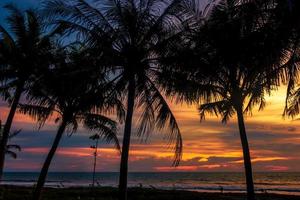 tropicale tramonto paesaggio con palma alberi nel silhouette a spiaggia foto