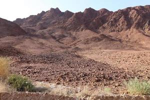 il negev è un' deserto nel il mezzo est, collocato nel il Sud di Israele. foto