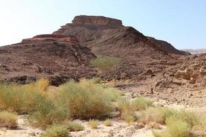 il negev è un' deserto nel il mezzo est, collocato nel il Sud di Israele. foto