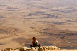 ramon cratere è un erosione cratere nel il negev deserto nel meridionale Israele. foto