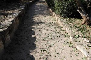 strada per pedoni nel un' città parco nel settentrionale Israele. foto