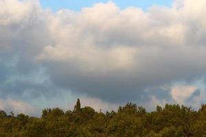 pioggia nuvole nel il cielo sopra il foresta. foto