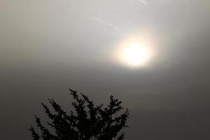 pioggia nuvole nel il cielo sopra il foresta. foto