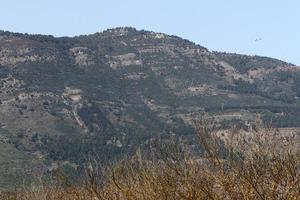 paesaggio nel il montagne nel settentrionale Israele. foto