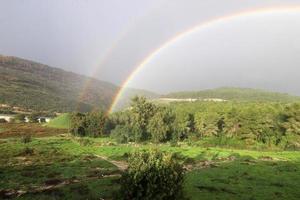 arcobaleno nel il cielo al di sopra di il foresta. foto