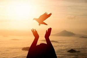 silhouette donna preghiere e gratuito uccello Piccione volante nel il cielo godendo natura nebbioso nebbia montagna Alba o tramonto su natura sfondo, speranza religione concetto. foto