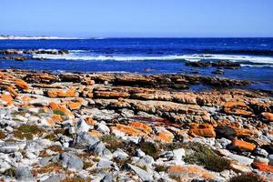 naufragio - capo di bene speranza - Sud Africa foto