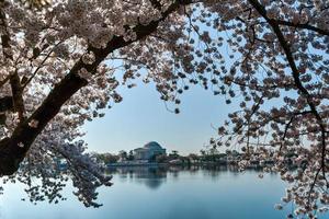 Jefferson memoriale - Washington dc foto