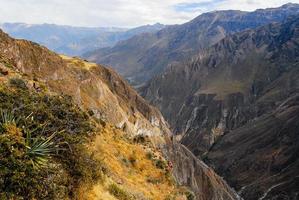 colca canyon, Perù foto