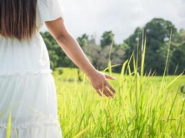 donna nel bianca vestito In piedi nel prato bellissimo natura albero e nuvoloso su cielo, ragazza viaggio nel natura su montagna a vacanza freschezza e luce del sole foto