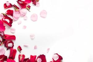 rosa fiori petali su bianca sfondo. san valentino giorno sfondo. piatto posizione, superiore Visualizza, copia spazio. foto