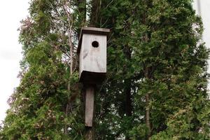 albero Casa per uccelli su il albero, birdhouse a partire dal il albero per svernamento uccelli foto