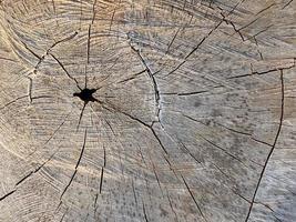 vecchio di legno struttura parete sfondo foto