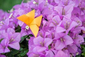 farfalla origami con fiore foto