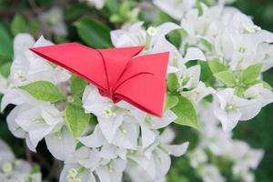 farfalla origami con fiore foto