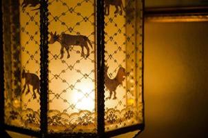 il Cinese zodiaco lampada con caldo leggero foto