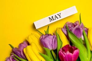 primavera saluto carta con colorato tulipani e Maggio scritto su di legno bloccare. copyspace bandiera foto