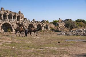 posteriore Visualizza di uomo con cammelli a piedi su terra con vecchio rovine nel sfondo foto