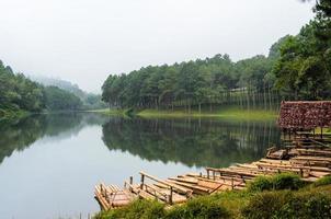 zattera bambù lago e pino foresta a mattina foto