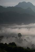 paesaggio di montagne nebbia phu lanka nazionale parco phayao Provincia nord di Tailandia foto