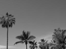 il isola di tenerife foto