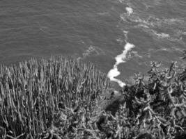 il isola di tenerife foto