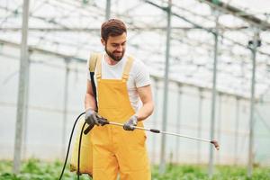 giovane serra lavoratore nel giallo uniforme irrigazione impianti di utilizzando speciale attrezzatura dentro di serra foto