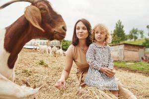 giovane madre con sua figlia è su il azienda agricola a estate con capre foto