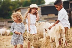 carino poco africano americano ragazzo con europeo ragazze è su il azienda agricola con capre foto