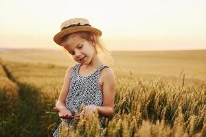 poco ragazza in piedi su il agricolo campo a sera volta. concezione di estate gratuito tempo foto