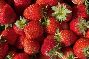 il rosso fragola per sfondo foto