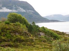 fiordi di Norvegia foto