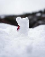 jeju isola e pupazzo di neve orsi foto