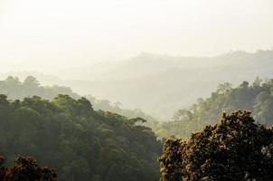 alto angolo Visualizza foresta montagna e cielo foto